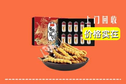 吴忠市回收冬虫夏草