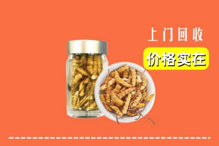 吴忠市回收散虫草