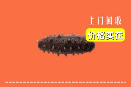 吴忠市回收海参