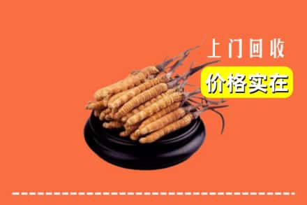 吴忠市回收冬虫夏草